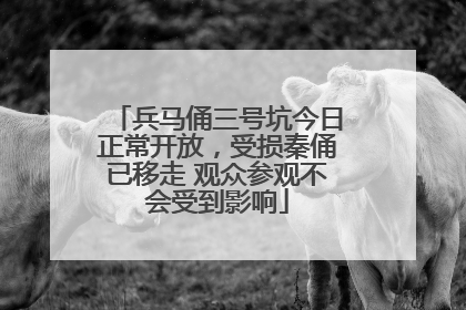 兵马俑三号坑今日正常开放，受损秦俑已移走 观众参观不会受到影响