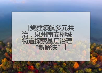 党建领航多元共治，泉州南安柳城街道探索基层治理“新解法”