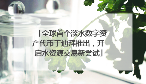 全球首个淡水数字资产代币于迪拜推出，开启水资源交易新尝试