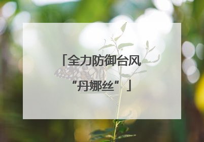 全力防御台风“丹娜丝”