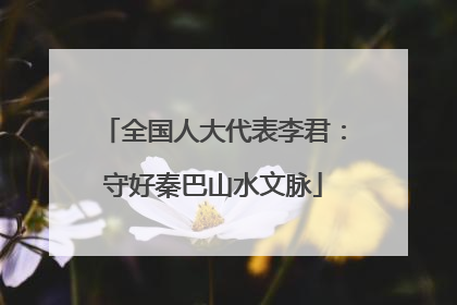 全国人大代表李君：守好秦巴山水文脉