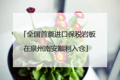 全国首票进口保税岩板在泉州南安顺利入仓