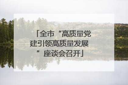 全市“高质量党建引领高质量发展”座谈会召开