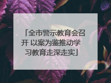 全市警示教育会召开 以案为鉴推动学习教育走深走实