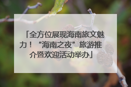 全方位展现海南旅文魅力！“海南之夜”旅游推介暨欢迎活动举办