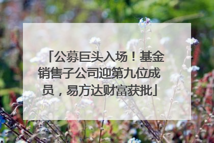 公募巨头入场！基金销售子公司迎第九位成员，易方达财富获批