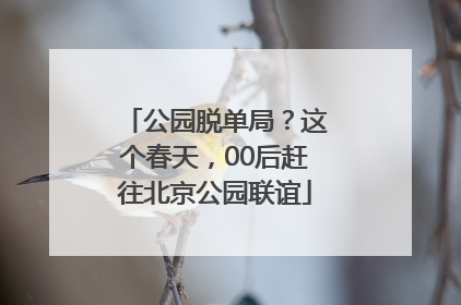 公园脱单局？这个春天，00后赶往北京公园联谊