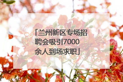 兰州新区专场招聘会吸引7000余人到场求职