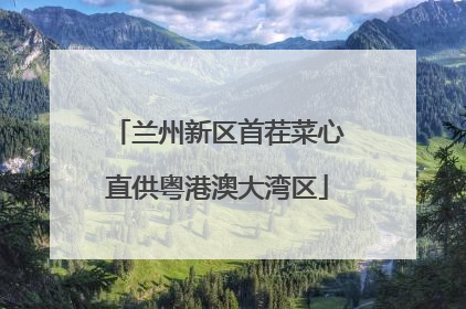 兰州新区首茬菜心直供粤港澳大湾区
