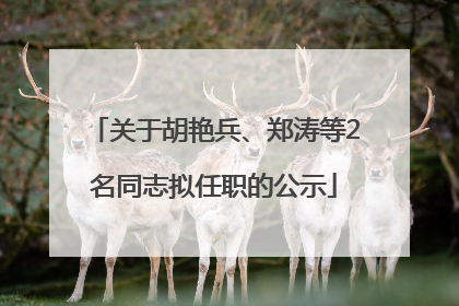 关于胡艳兵、郑涛等2名同志拟任职的公示