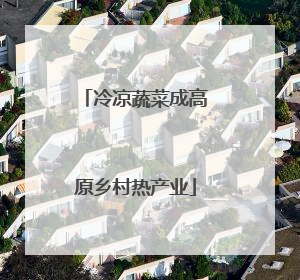 冷凉蔬菜成高原乡村热产业