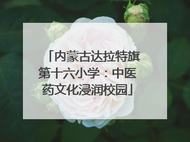 内蒙古达拉特旗第十六小学：中医药文化浸润校园