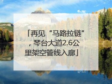 再见“马路拉链”，琴台大道2.6公里架空管线入廊