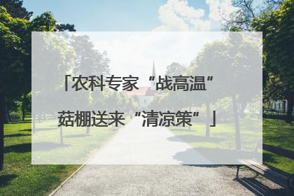农科专家“战高温” 菇棚送来“清凉策”