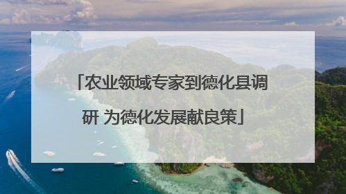 农业领域专家到德化县调研 为德化发展献良策