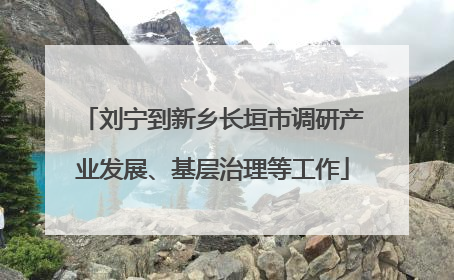 刘宁到新乡长垣市调研产业发展、基层治理等工作