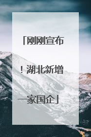 刚刚宣布！湖北新增一家国企