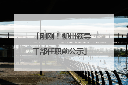 刚刚！柳州领导干部任职前公示