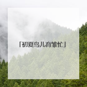 初夏鸟儿育雏忙