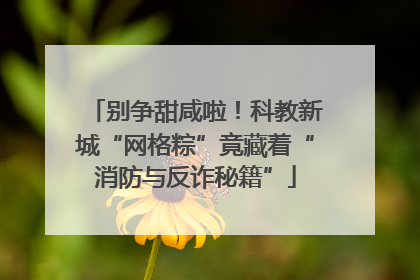 别争甜咸啦！科教新城“网格粽”竟藏着“消防与反诈秘籍”