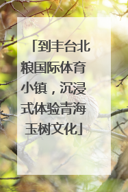 到丰台北粮国际体育小镇，沉浸式体验青海玉树文化