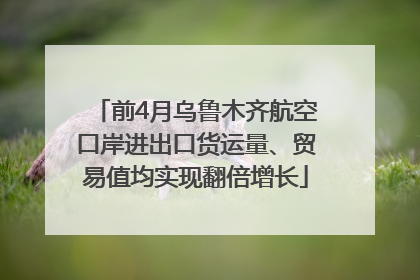 前4月乌鲁木齐航空口岸进出口货运量、贸易值均实现翻倍增长