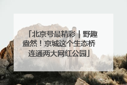 北京号最精彩｜野趣盎然！京城这个生态桥连通两大网红公园