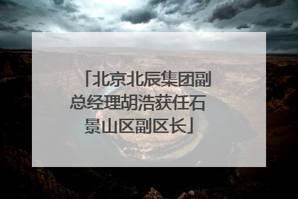 北京北辰集团副总经理胡浩获任石景山区副区长