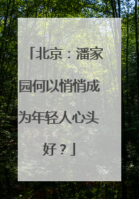 北京：潘家园何以悄悄成为年轻人心头好？