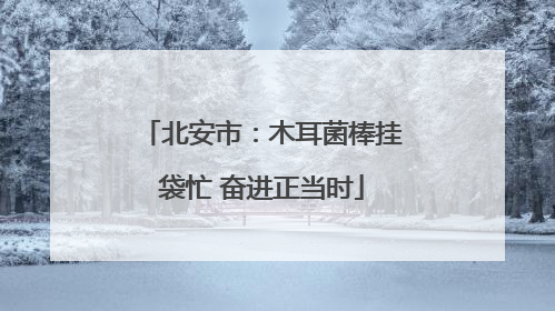 北安市：木耳菌棒挂袋忙 奋进正当时