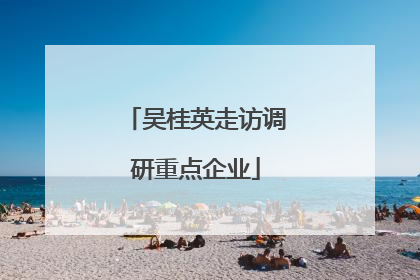 吴桂英走访调研重点企业