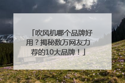 吹风机哪个品牌好用？揭秘数万网友力荐的10大品牌！