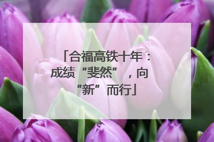 合福高铁十年：成绩“斐然”，向“新”而行