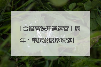 合福高铁开通运营十周年：串起发展珍珠链
