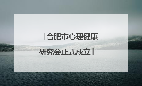 合肥市心理健康研究会正式成立