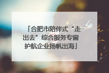 合肥市陪伴式“走出去”综合服务专窗护航企业扬帆出海