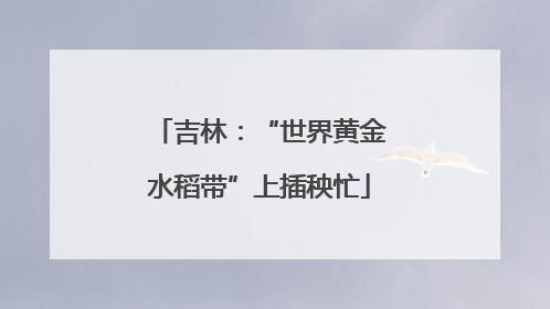 吉林：“世界黄金水稻带”上插秧忙