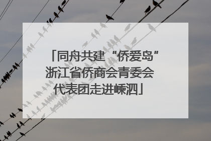 同舟共建“侨爱岛” 浙江省侨商会青委会代表团走进嵊泗