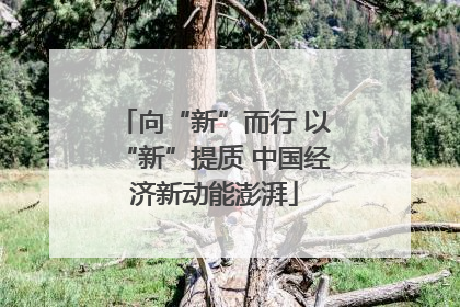向“新”而行 以“新”提质 中国经济新动能澎湃
