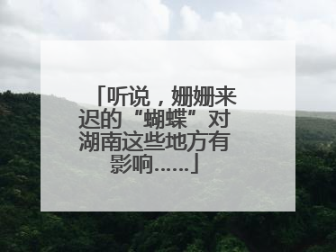 听说，姗姗来迟的“蝴蝶”对湖南这些地方有影响……