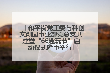 和平街党工委与科创文创园事业部党总支共建暨“66趣玩节”启动仪式隆重举行