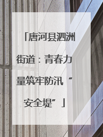 唐河县泗洲街道：青春力量筑牢防汛“安全堤”