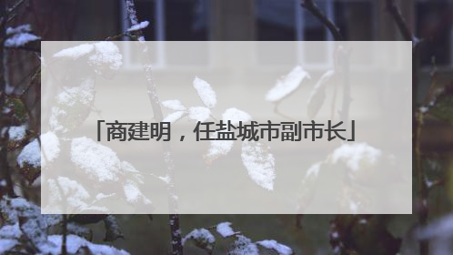 商建明，任盐城市副市长