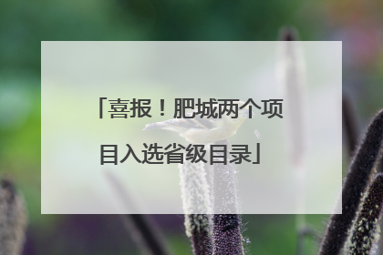喜报！肥城两个项目入选省级目录
