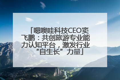 嗯噢哇科技CEO窦飞鹏：共创旅游专业能力认知平台，激发行业“自生长”力量
