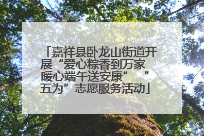 嘉祥县卧龙山街道开展“爱心粽香到万家 暖心端午送安康” “五为”志愿服务活动