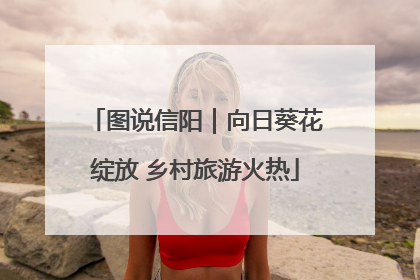 图说信阳｜向日葵花绽放 乡村旅游火热