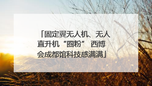 固定翼无人机、无人直升机“圈粉” 西博会成都馆科技感满满