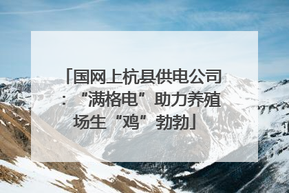 国网上杭县供电公司：“满格电”助力养殖场生“鸡”勃勃