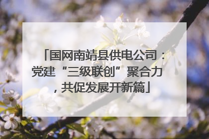 国网南靖县供电公司：党建“三级联创”聚合力，共促发展开新篇